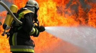 Однорідні члени речення 