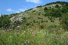 0402mrdl-2dc9-220x146.jpg