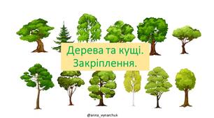 Інтерактивна презентація для дітей "Дерева та кущі. Закріплення"