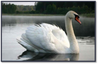 0402ms0w-95d6-196x129.png