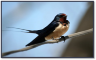 0402ms0x-f257-192x121.png