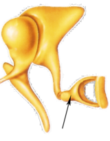 0402mt49-6b10-160x204.png