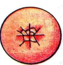 0402mv7i-25b8-219x225.png