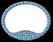 0402mvdr-898d-183x145.png