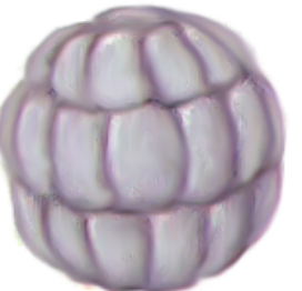 0402mvdx-145e-272x262.png