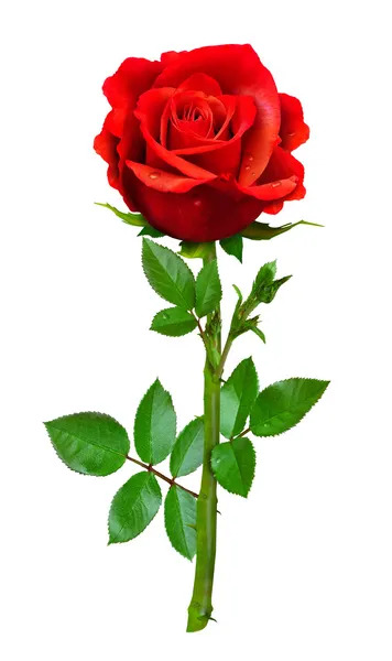 0402myae-eb64-356x600.jpg