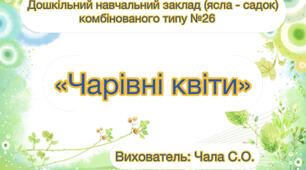 Дитина в сенсорно - пізнавальному просторі : «Чарівні квіти»
