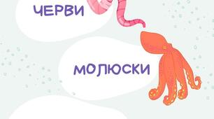 Інфографіка до теми "Тварини та їх різноманіття"