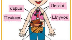 Діагностична робота з ЯДС з теми “Людина. Організм людини”
