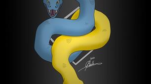 Основні поняття мови програмування Python - 5 клас