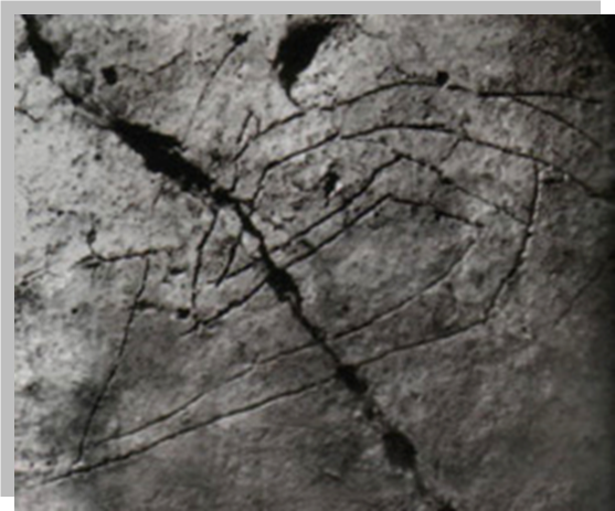 0402n6go-8b80-557x463.png