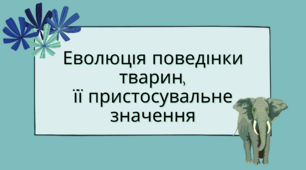 Еволюція поведінки тварин,її пристосувальне значення