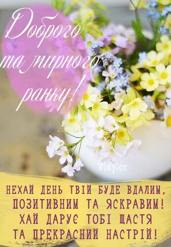 0402n86i-e9b0-347x501.jpg