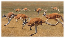 0402n8sn-39fb-256x151.png