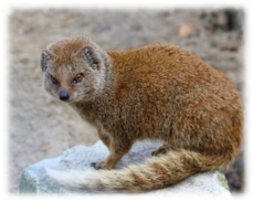 0402n8z2-f659-229x183.png