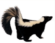 0402n955-2161-179x142.png