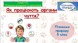 Презентація "Як працюють органи чуття". "Пізнаємо природу" 5 клас НУШ.