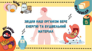 Презентація для 5 класу на тему ,,Звідки наш організм бере енергію та будівельний матеріал,,