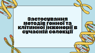 Презентація "Застосування методів генної та клітинної інженерії в сучасній селекції", 11 клас