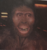 0402nekz-ec9e-199x211.png