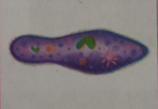 0402nelg-04f7-158x109.png