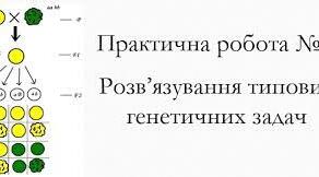 Практична робота 2: Розв'язування типових генетичних задач