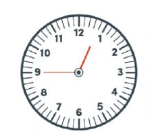 0402ngw9-ccdd-230x199.png
