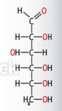0402nh9p-9e80-88x158.png