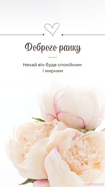 0402nhbx-2491-409x727.jpg