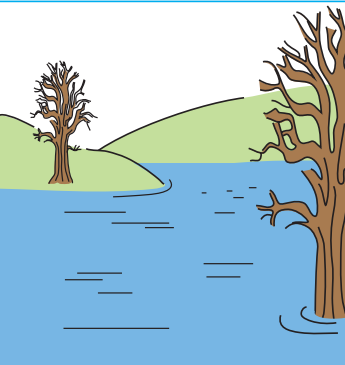 0402nirr-1942-345x365.png