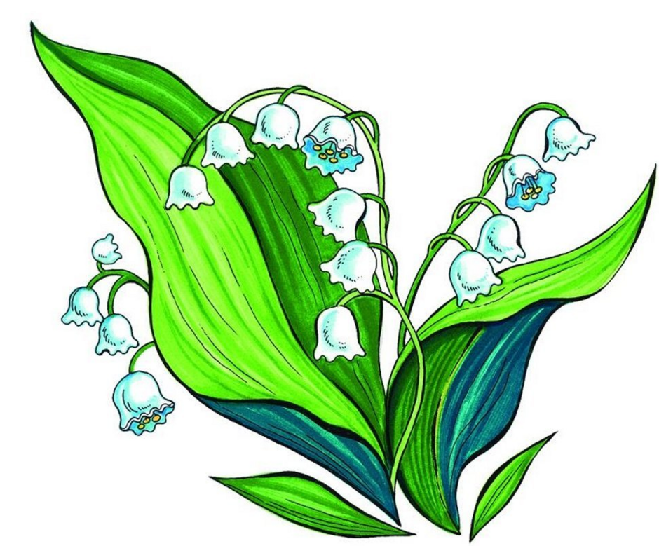 0402nj3a-80bb-940x779.png