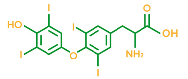 0402nj6b-ec8c-384x162.png