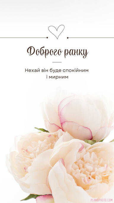 0402njnk-8c42-385x685.jpg