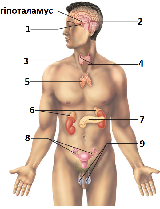 0402nkbx-fb8c-520x680.png
