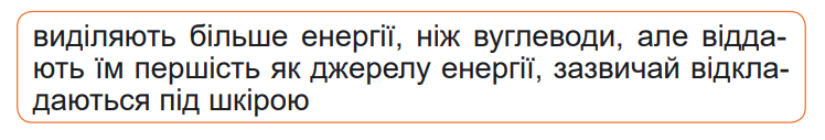 0402nke6-2bc6-748x127.png