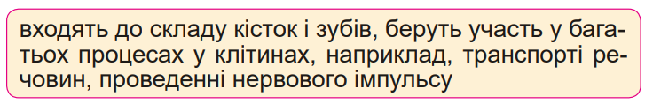 0402nkfg-781d-727x126.png