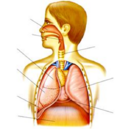 0402nlug-6d3f-131x129.png