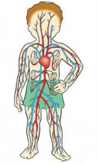 0402nm3g-93f4-141x234.png