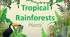 презентація "Tropical Rainforests. PLANTS"