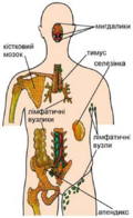 0402nncv-6fc1-120x196.png