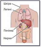 0402nnin-bd01-136x153.png