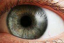 0402no6y-1c57-220x147.jpg