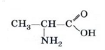 0402nolk-b963-209x100.png