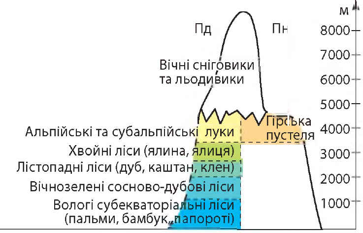0402nt24-be7c-737x472.png