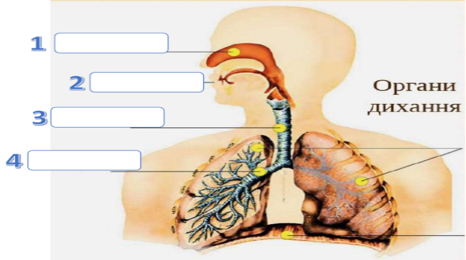 0402ntsn-632c-940x525.png