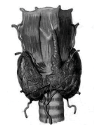 0402nu8g-b7fb-138x180.png