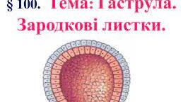 Закономірності ембріонального розвитку