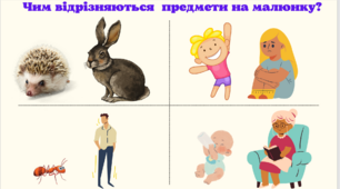 Слова- назви предмеетів, дії предметів, ознаки предметів