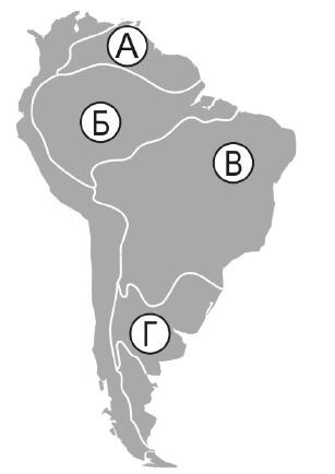 0402nvjy-c663-307x434.jpg