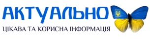 0402nvms-4740-305x81.png